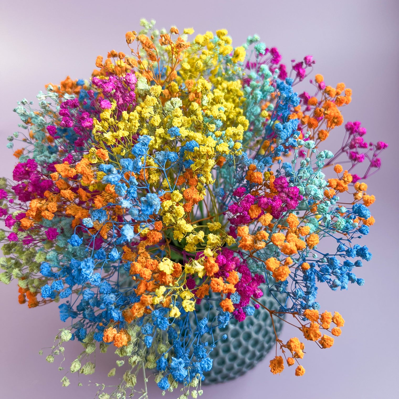 Rainbow Gypsophila Wedding Bouquets