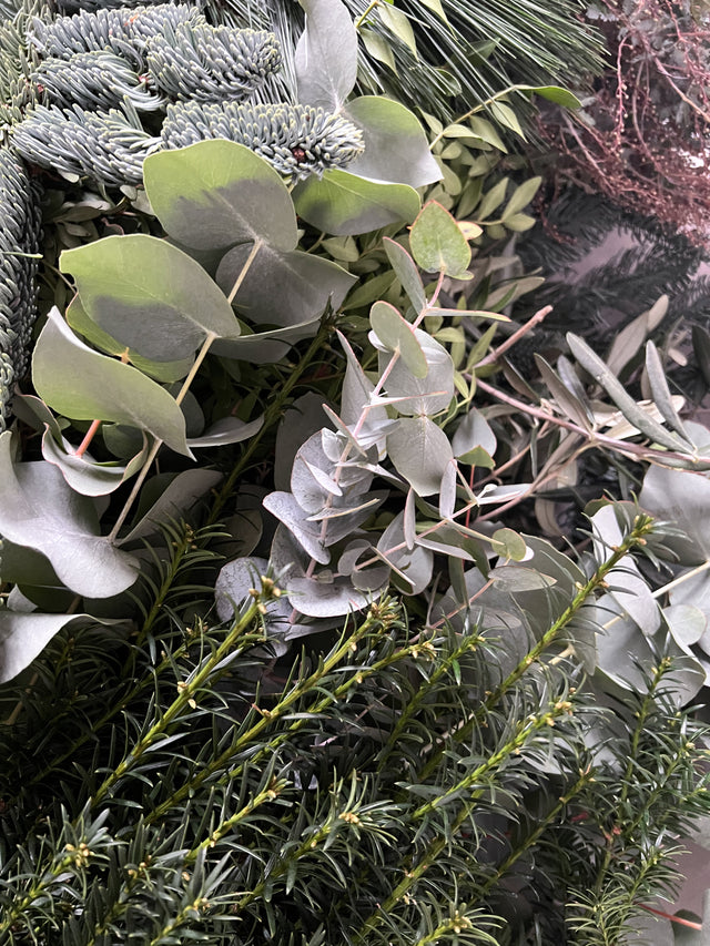 Festive Fresh Foliage Pack