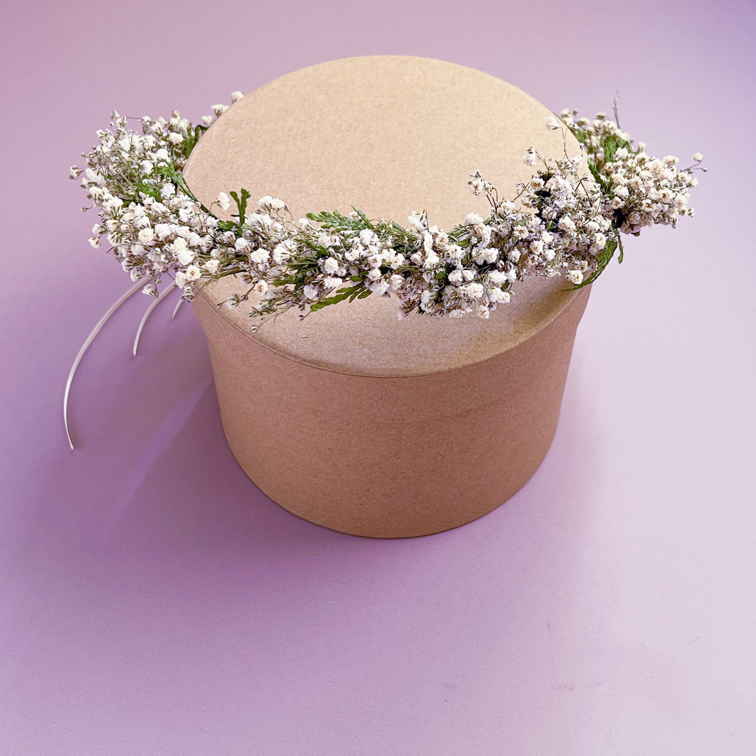 Gypsophila with Conifer Dried Flower Hair Crown