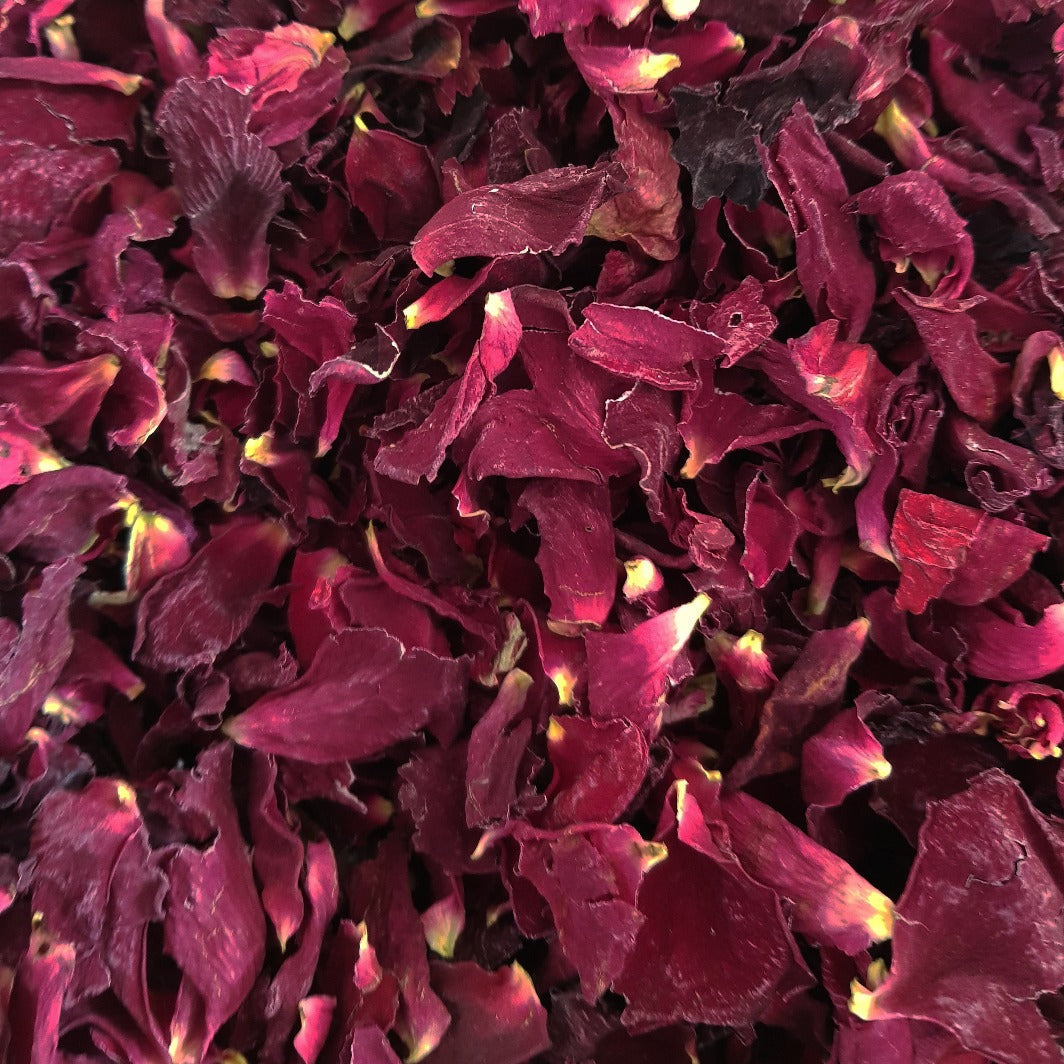 Confetti Packets - Initiale 25x