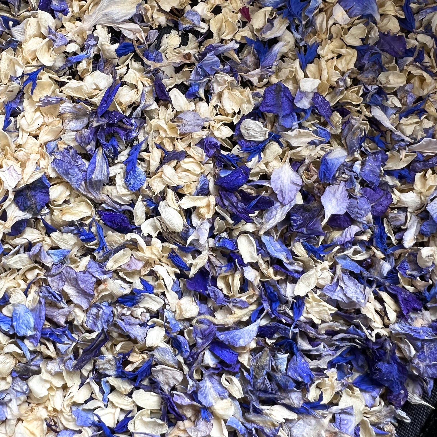 Blue Ombre Dream - Jazz Range