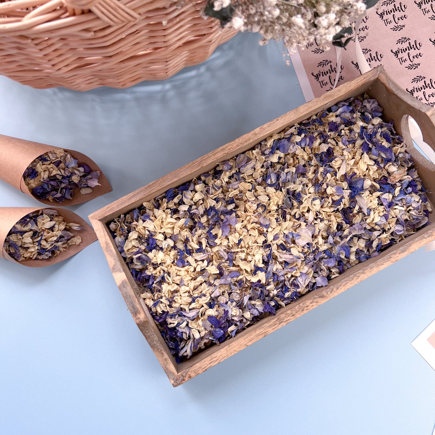 Blue Ombre Dream - Jazz Range