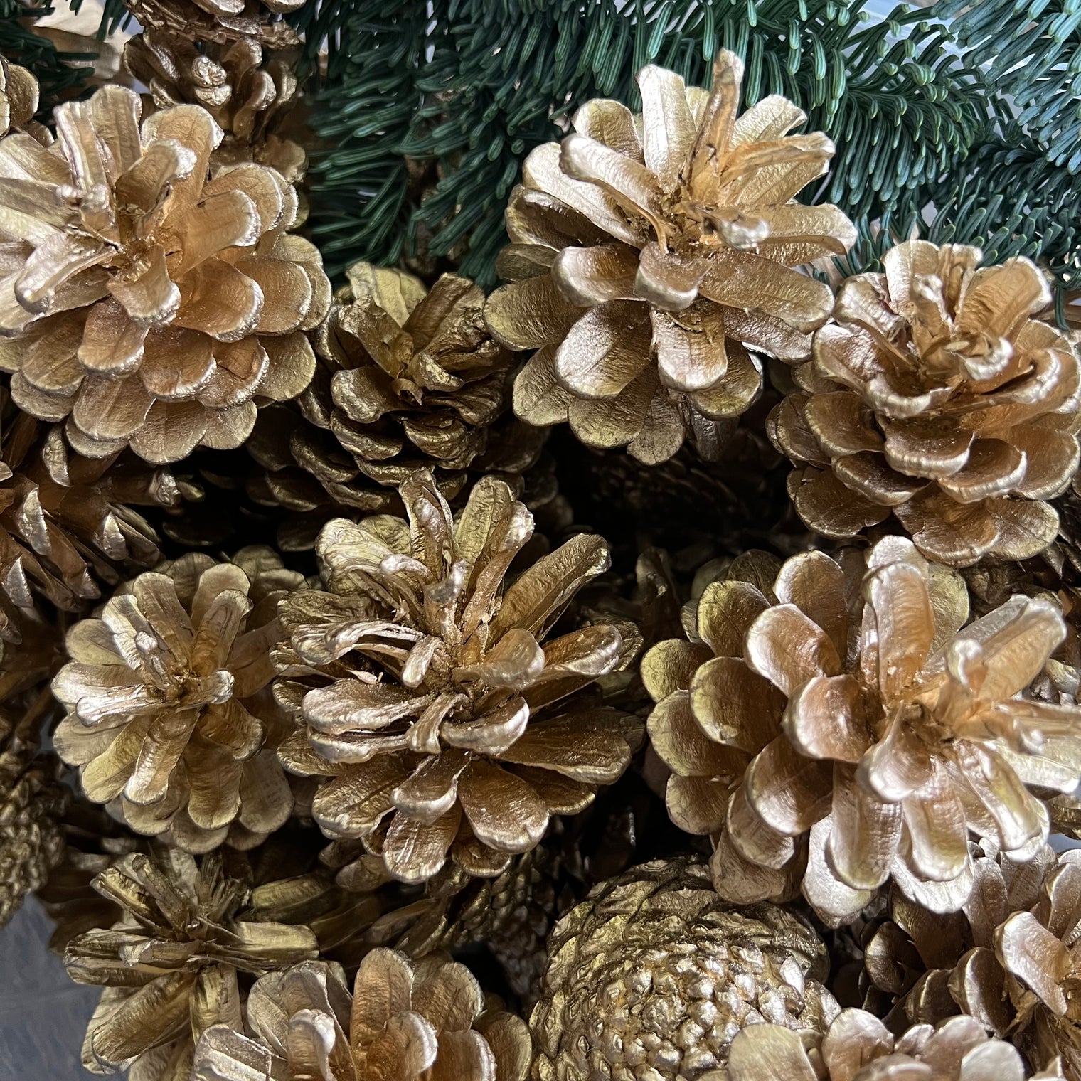 Gold Natural Pine Cones - 100g or 250g