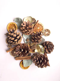 Dried Winter Fruits Pack - Small