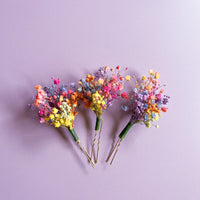 Rainbow Gypsophila Wedding Dried Flower Hair Pin