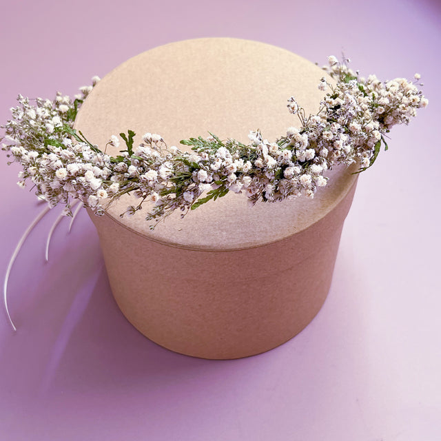 Gypsophila with Conifer Dried Flower Hair Crown