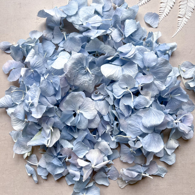 Freeze Hydrangea Petal - Dusty Blue