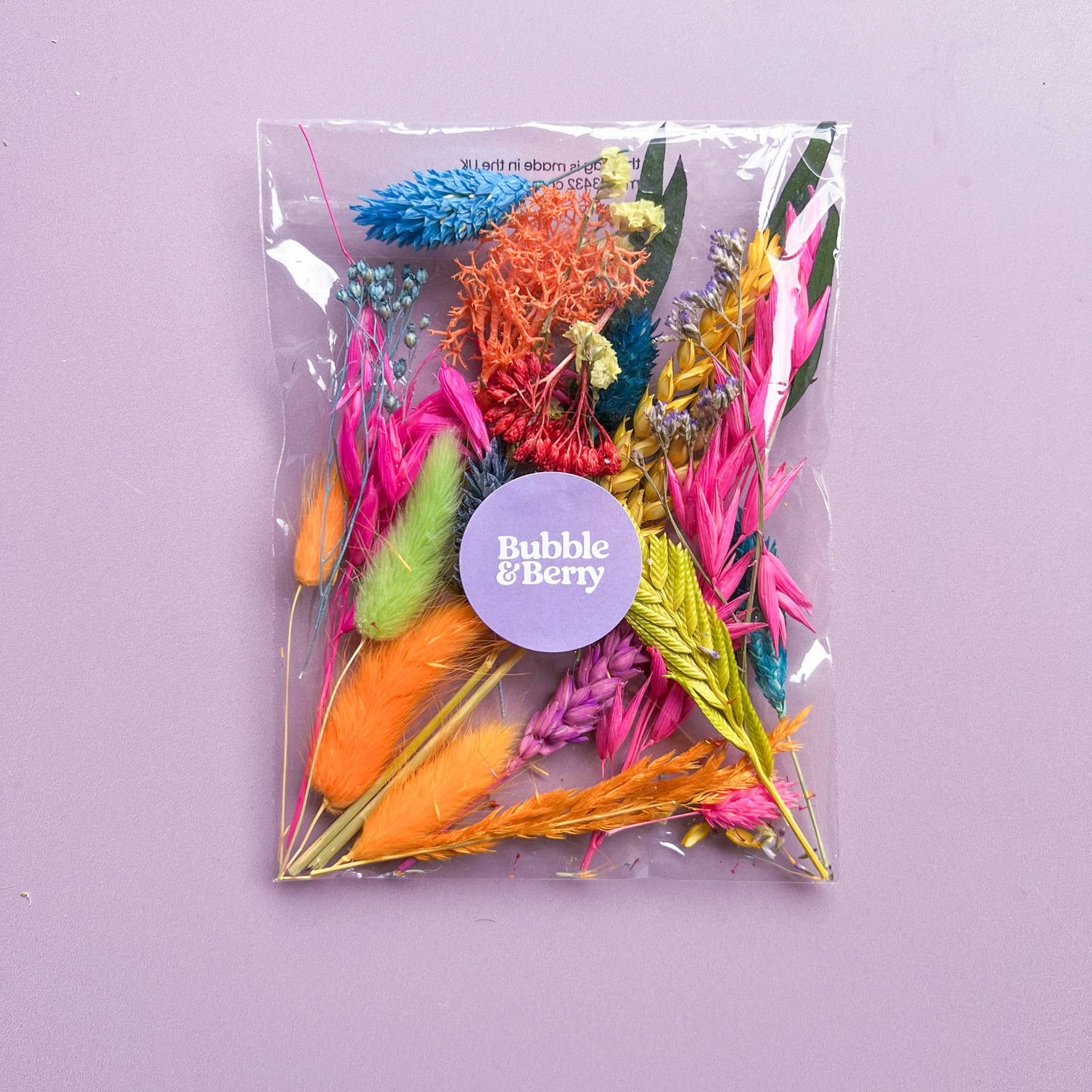 Rainbow Dried Flower Craft Pack