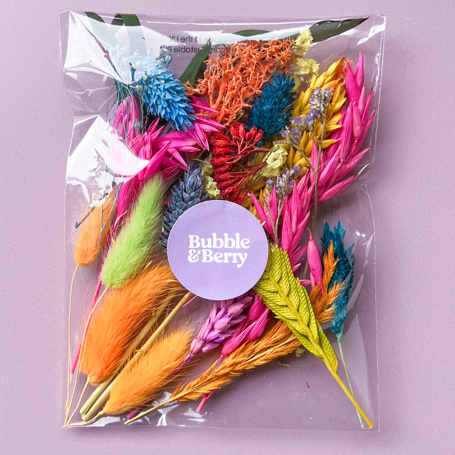 Rainbow Dried Flower Craft Pack