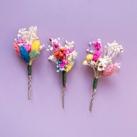 Rainbow Dried Flower Hair Pins