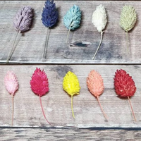 Rustic Dried Flower Buttonholes