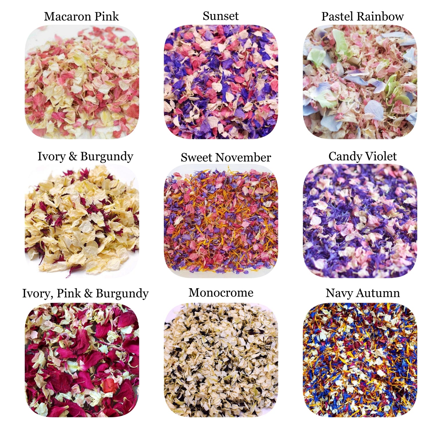 Flower Craft Pack -Petal Pack